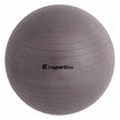 inSPORTline Gymnastics Ball 65 cm Top Ball with Pump InSportLine