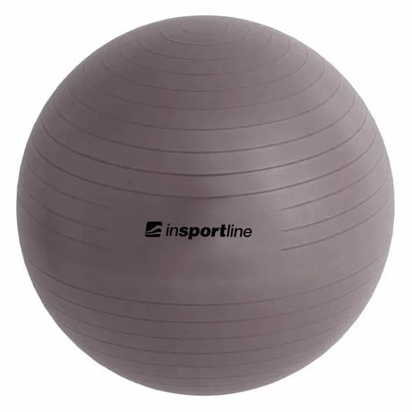 inSPORTline Gymnastics Ball 65 cm Top Ball with Pump InSportLine