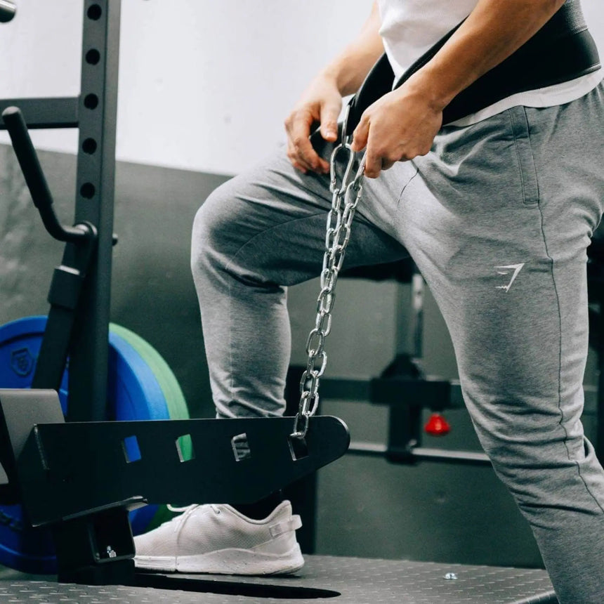 Titanium Strength | EL-PL9 | Belt Squat Elite Series Titanium Strength