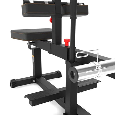 inSPORTline Seated Calf Raise Machine X-NT SC20 Commercial Bench InSportLine