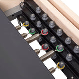 Elina Pilates Master Instructor Physio Reformer Elina Pilates