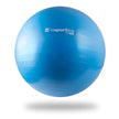 inSPORTline Exercise Ball 65 cm Lite Ball Stable Non‑Slip Balance Trainer InSportLine