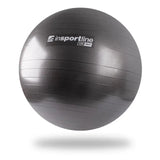 inSPORTline Exercise Ball 65 cm Lite Ball Stable Non‑Slip Balance Trainer InSportLine