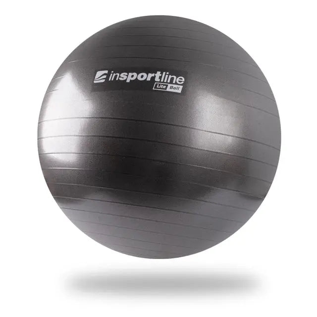 inSPORTline Exercise Ball 65 cm Lite Ball Stable Non‑Slip Balance Trainer InSportLine